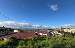 Ilha da Madeira, Madeira