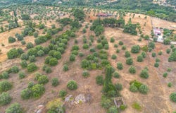 Brogueira, Santarém District