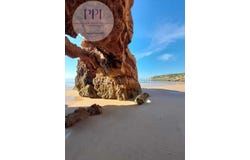 Vila do Bispo, Faro 8650-000