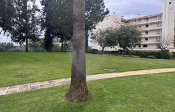 Vilamoura, Algarve 8125-410