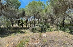 Quinta do Lago, FARO