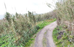 Ilha de São Miguel, Azores