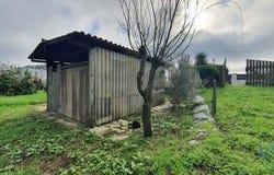 Estarreja, Aveiro 3860-044
