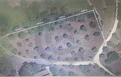 Nossa Senhora da Piedade, Santarém District