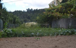 Termas de São Vicente, Porto District