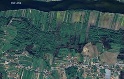 Viana do Castelo, Viana do Castelo District