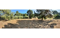 R. da Sarrada 85, 2410, Portugal, Leiria, Leiria District 2420-264