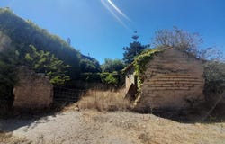 Arazede, Coimbra District