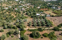 Loule, Faro