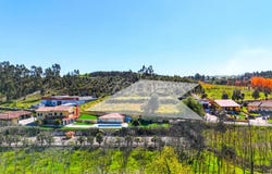 Anadia, Aveiro District