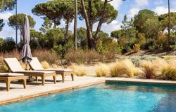 Comporta, Setúbal 7580