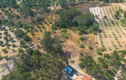 Pedrógão, Santarém District