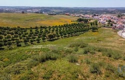Óbidos, Leiria 2510-140