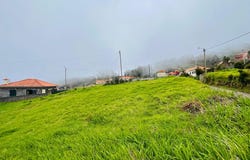Ilha da Madeira, Madeira