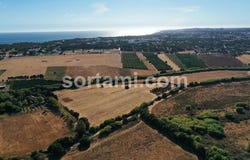 Loule, Faro