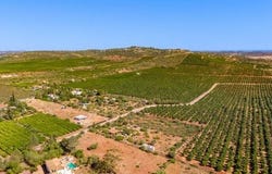 Algoz, Faro 8265-091
