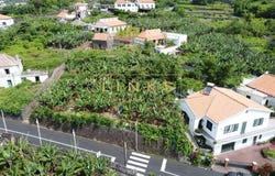 Arco Da Calheta, Madeira 9370