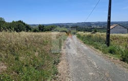 Caldas da Rainha, Leiria District