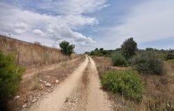 Mexilhoeira Grande, Algarve