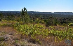 Ferreira do Zêzere, Santarém 2240-102