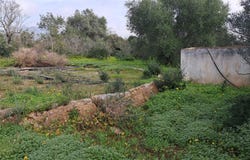 Quelfes, Algarve 8700