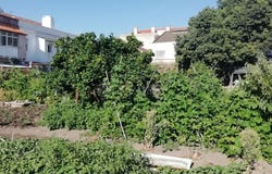 União das Freguesias de Setúbal, Setubal