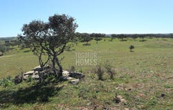 Ourique Municipality, Beja 7670