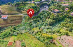 Sao Jorge, Madeira 9230
