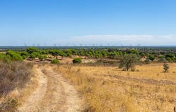 Azinheira Barros e São Mamede do Sádão, Setubal