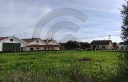 Brogueira, Santarém District