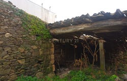Salgueiro do Campo, Castelo Branco District