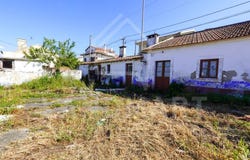Maiorga, Leiria 2460