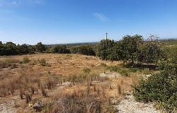 Boliqueime, Algarve 8100