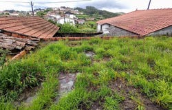 Arrifana, Coimbra District