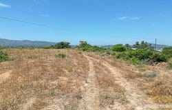 Moncarapacho e Fuseta, Algarve 8700