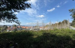 Nogueira, Braga
