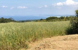 Sesimbra (Castelo), Setúbal 2970