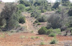 Silves, Faro 8365-160