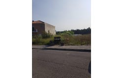 Oliveira do Bairro, Aveiro District