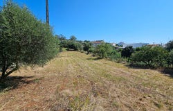 Pombal, Leiria District