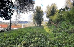 Ponte Da Barca, Viana Do Castelo