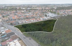 Moreira, Porto District