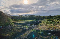 Ilha do Pico, Azores