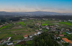 Oliveira, Braga