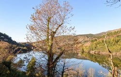 Vieira do Minho, Braga 4850-263