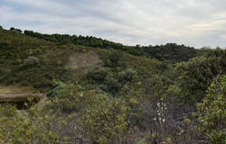 Ameixial, Algarve