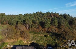 Viseu, Viseu District
