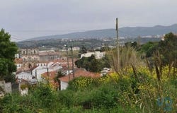 Alcobaça, Leiria 2460-741