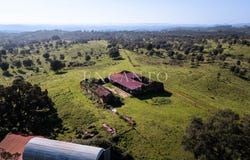 São Luís, Beja 7630