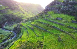 Ilha da Madeira, Madeira